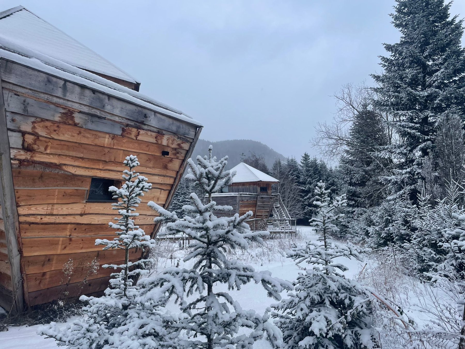 hebergement insolite en alsace escale cabane