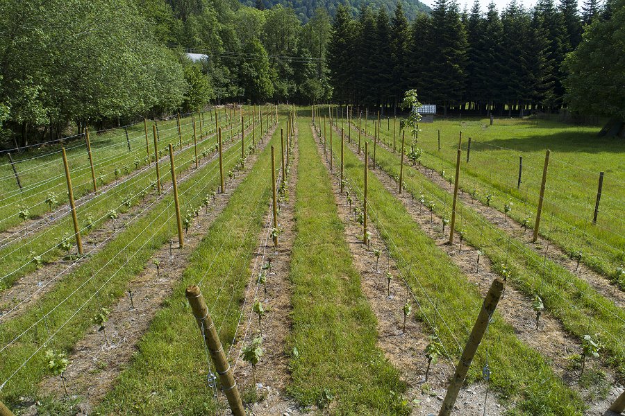 parc escale cabane 5